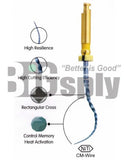 Niti Reciprocating System- OneFile PRO Blue 21mm (Waveone) 4/pk